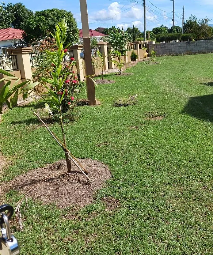Apartmán St Bess Comfort Style Black River